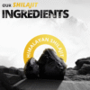 shialjit ingredients