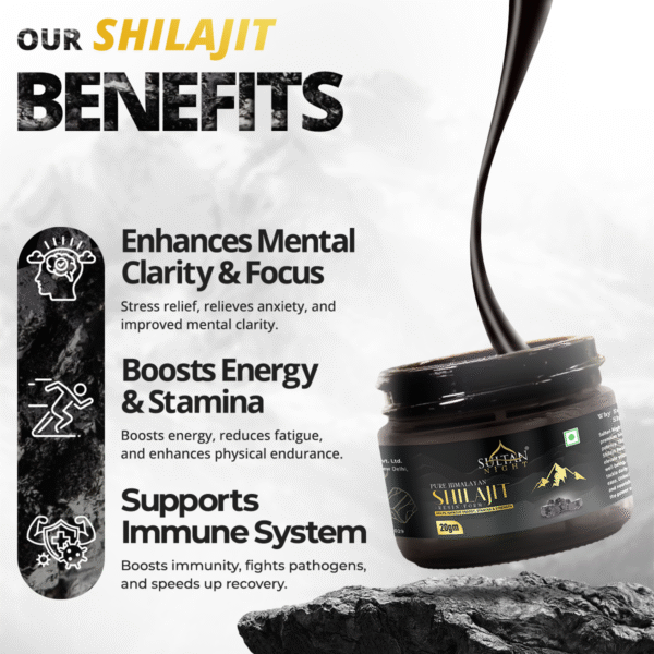 shilajit benefits