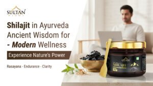 shilajit in ayurveda