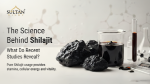 Science Behind Shilajit