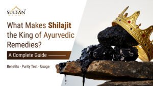 what makes shilajit