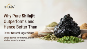 Why Pure Shilajit Outperforms