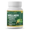 wellness immunity booster