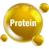 protein