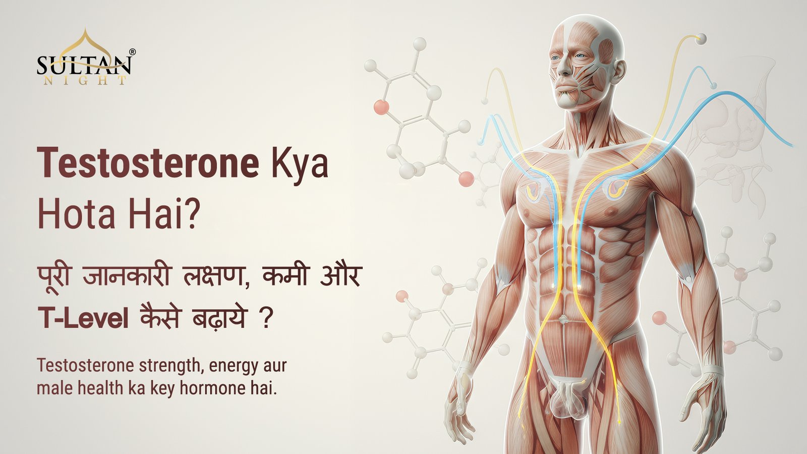 Testosterone kya hota hai